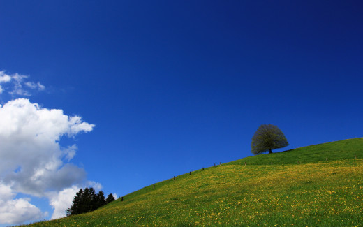 629811 (a): :2560x1600